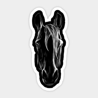 Dramabite Horse Artistic Graphic Hand-drawn Pony Artsy White Black Sticker